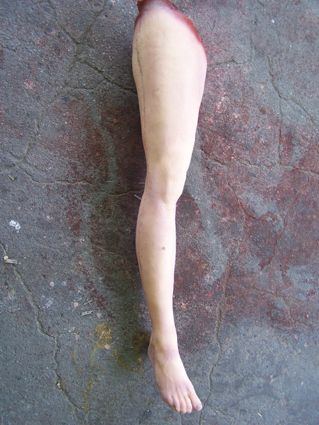 Обрубок женской ноги - копия