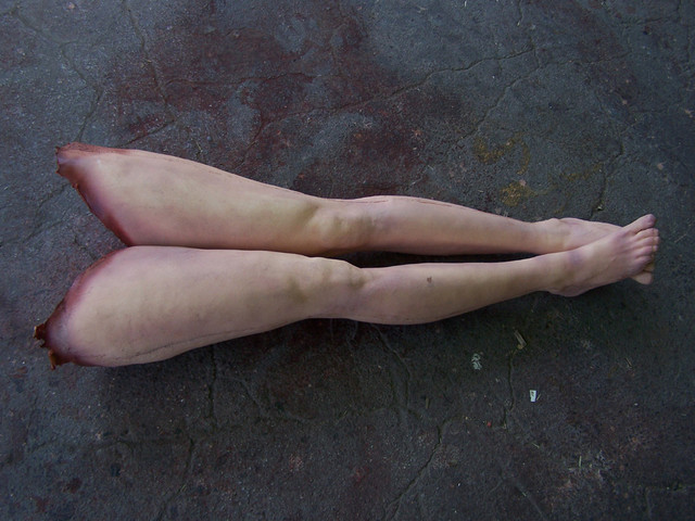 Обрубок женской ноги - копия
